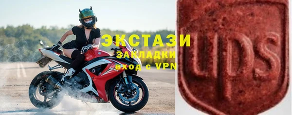 индика Новодвинск
