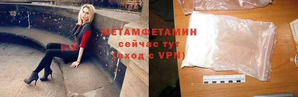 индика Новодвинск