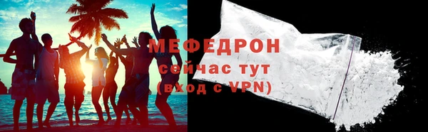 индика Новодвинск