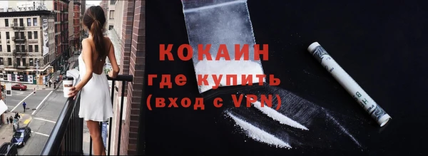 индика Новодвинск