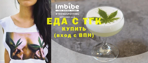 индика Новодвинск