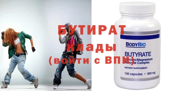 индика Новодвинск