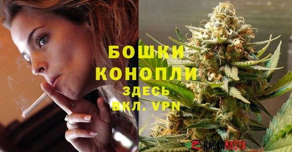 индика Новодвинск