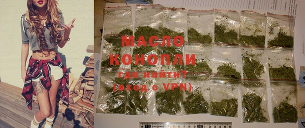 индика Новодвинск