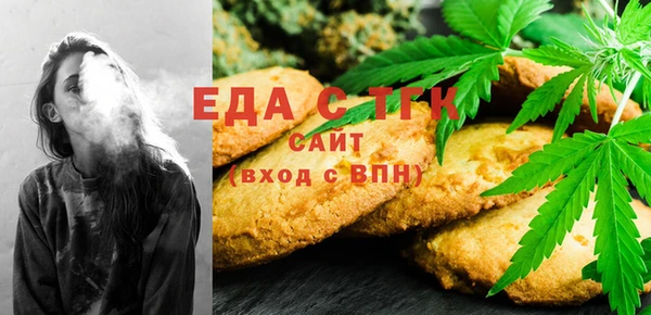 индика Новодвинск