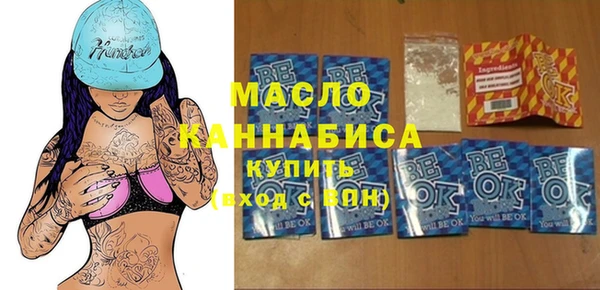 индика Новодвинск