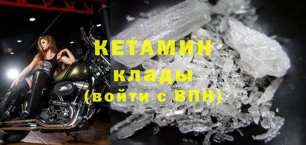 индика Новодвинск