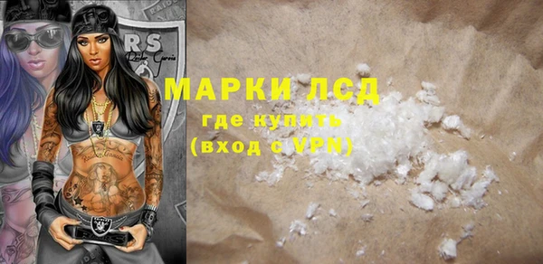 индика Новодвинск
