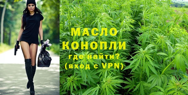 индика Новодвинск