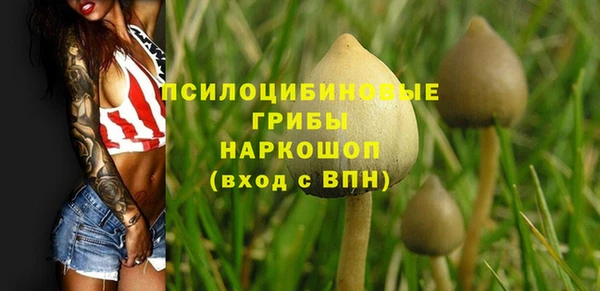 винт Ессентукская