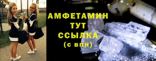 индика Новодвинск