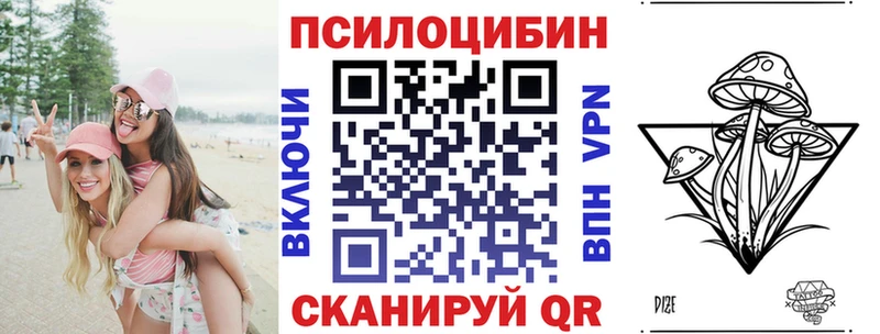 Галлюциногенные грибы Psilocybe Щёлкино